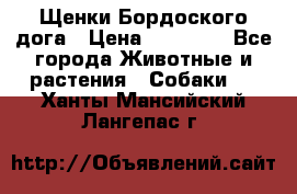 Щенки Бордоского дога › Цена ­ 60 000 - Все города Животные и растения » Собаки   . Ханты-Мансийский,Лангепас г.